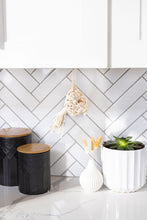 Load image into Gallery viewer, Garlic or Air Plant Hammock