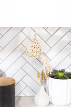 Load image into Gallery viewer, Garlic or Air Plant Hammock