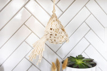Load image into Gallery viewer, Garlic or Air Plant Hammock