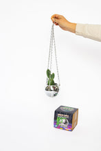 Load image into Gallery viewer, Disco ball plant hanger