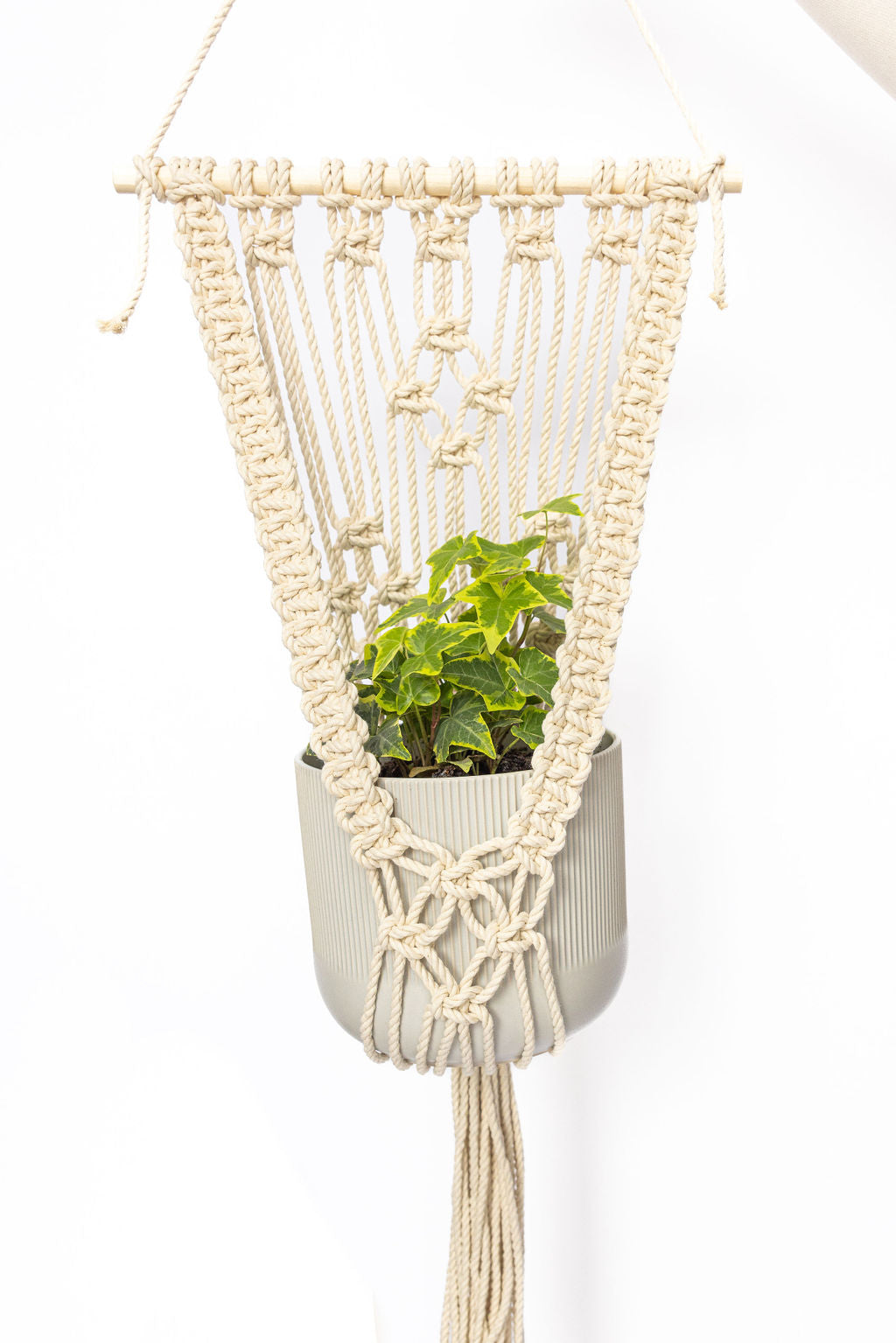 Carley wall hanging plant hanger