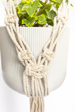 Load image into Gallery viewer, Dana wall hanging plant hanger