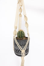 Load image into Gallery viewer, Cascade plant hanger