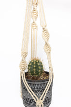 Load image into Gallery viewer, Cascade plant hanger