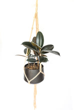 Load image into Gallery viewer, Creamsicle minimalist plant hanger