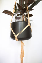 Load image into Gallery viewer, Creamsicle minimalist plant hanger