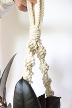 Load image into Gallery viewer, Don't get it twisted macrame plant hanger