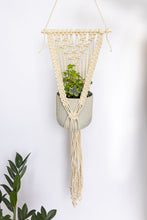 Load image into Gallery viewer, Abbi wall hanging plant hanger
