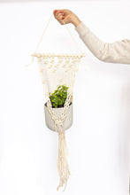 Load image into Gallery viewer, Dana wall hanging plant hanger
