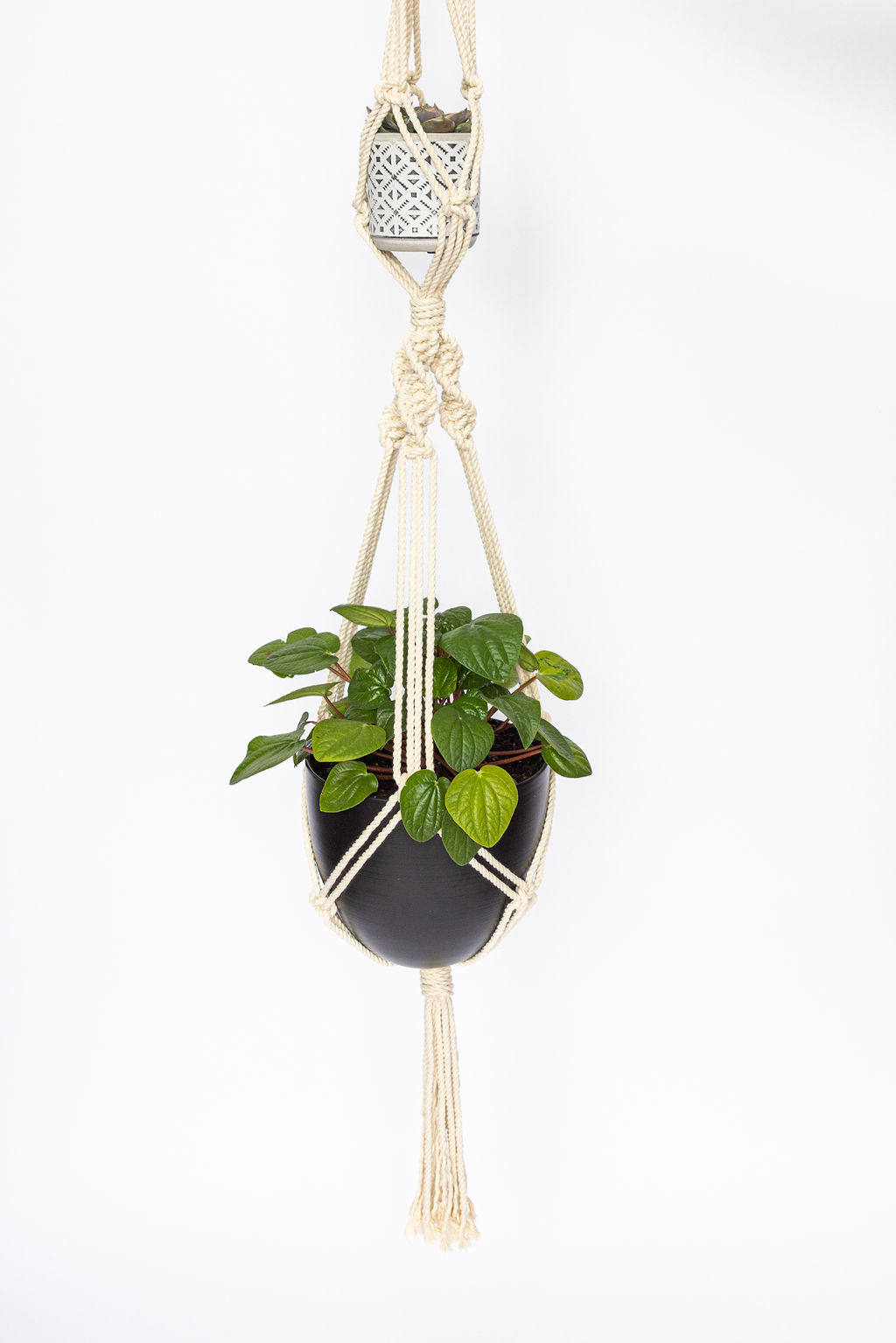 diy macrame double plant hanger Double macrame plant hanger – Macrayaymacrame