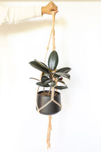 Load image into Gallery viewer, Creamsicle minimalist plant hanger
