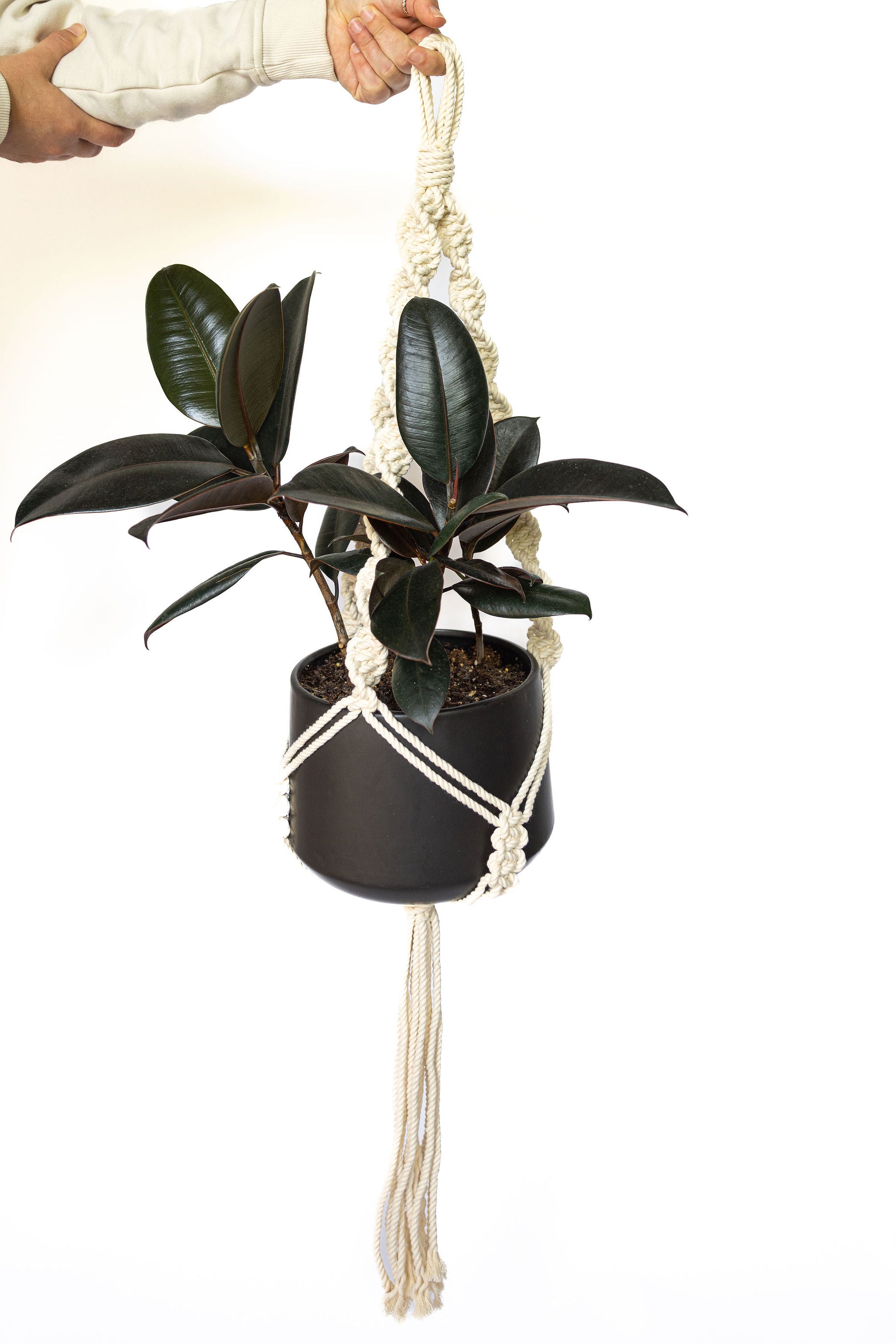 cotton macrame plant hanger Don't get it twisted macrame plant hanger – Macrayaymacrame