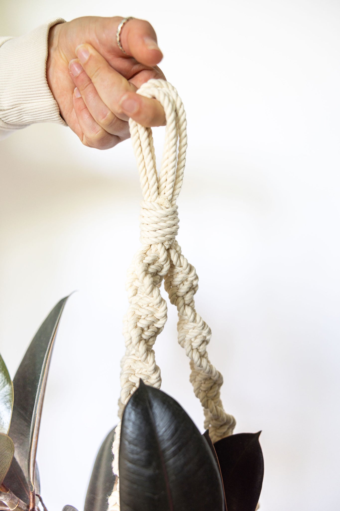 macrame crown knot plant hanger Don't get it twisted macrame plant hanger – Macrayaymacrame