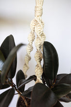 Load image into Gallery viewer, Don&#39;t get it twisted macrame plant hanger
