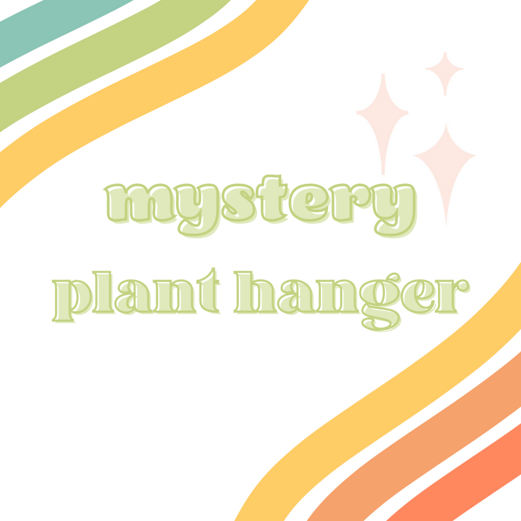 MYSTERY plant hanger!